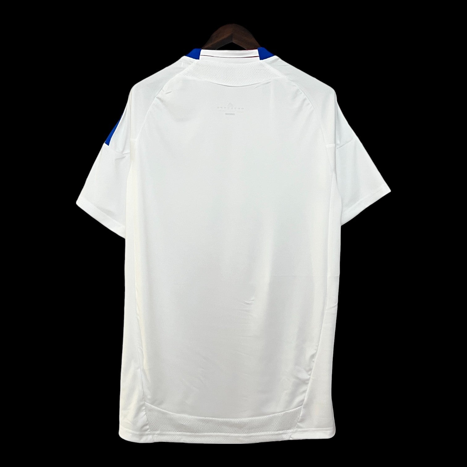 Lyon Maillot Rétro 10/11