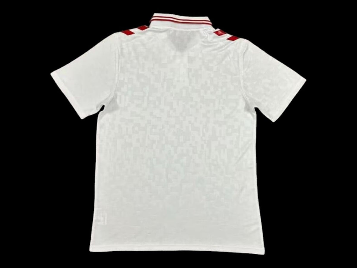 Danemark Maillot Extérieur 24/25 – vue 2