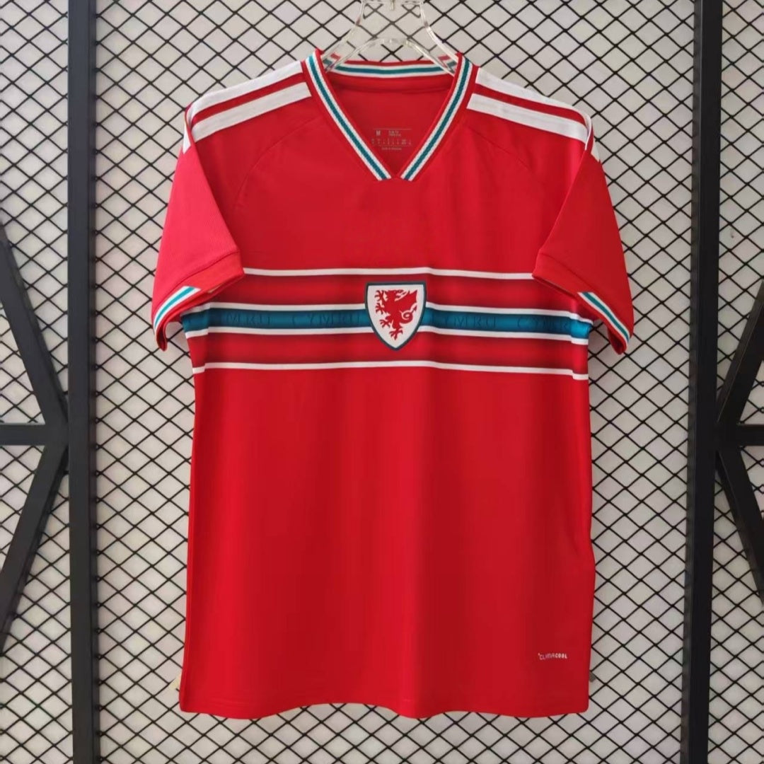 Pays de Galles Maillot Domicile 25/26