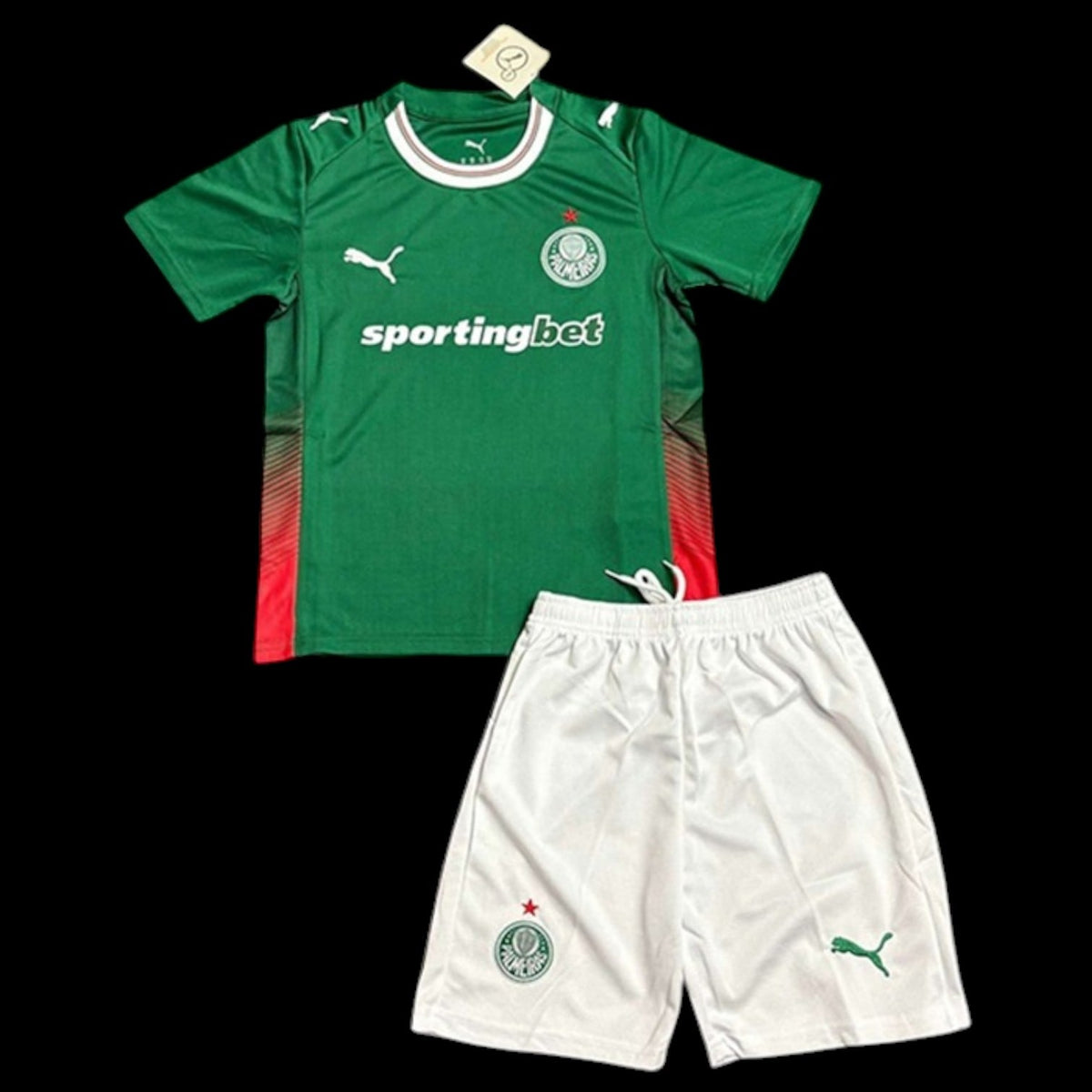 Palmeiras Maillot Domicile 26/27 – Enfant
