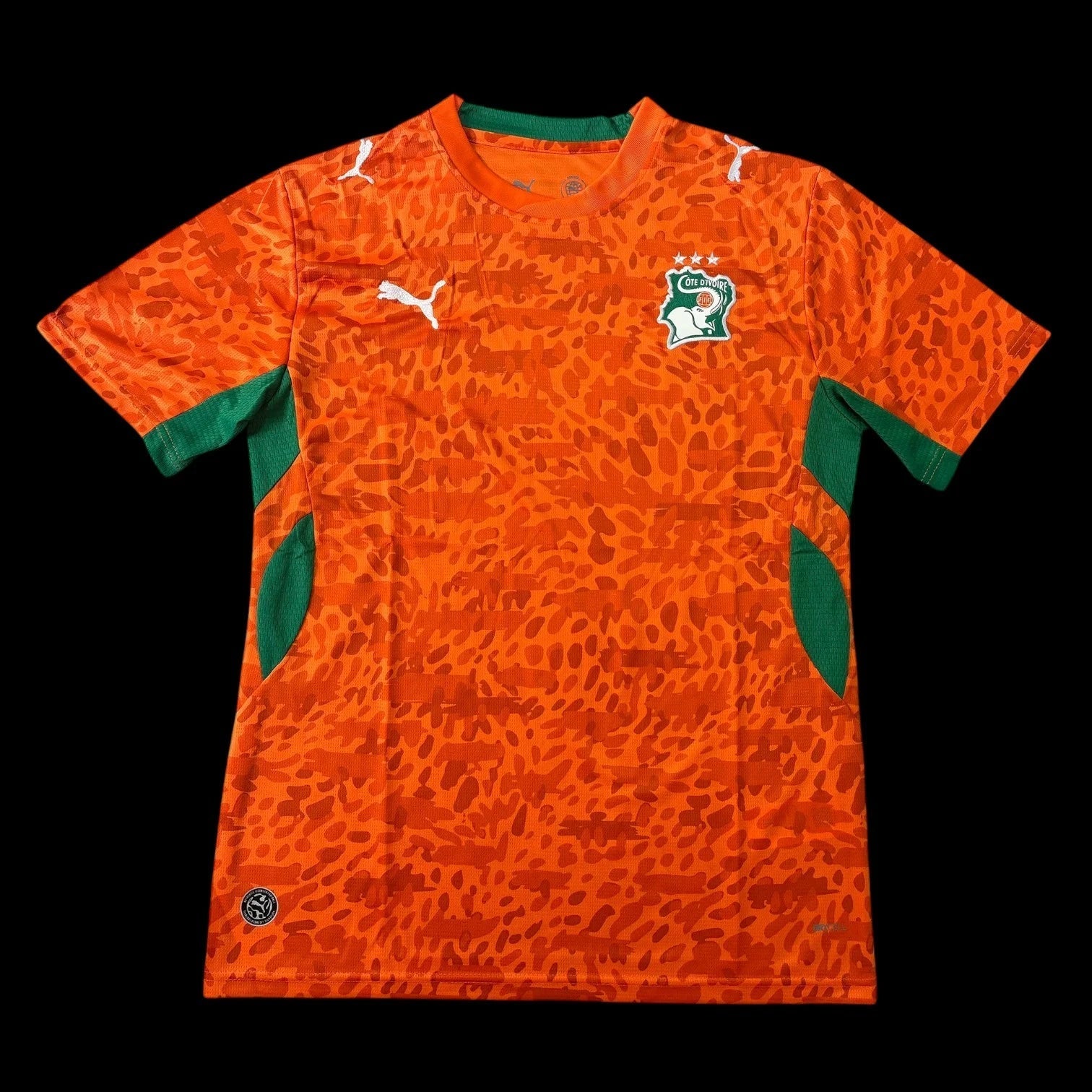Cote d’Ivoire Maillot Domicile CDM 26
