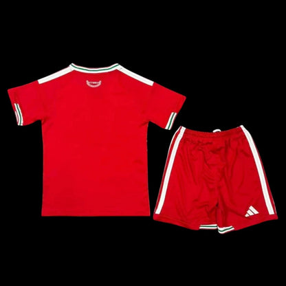 Pays de Galles Maillot Domicile CDM 26 – Enfant