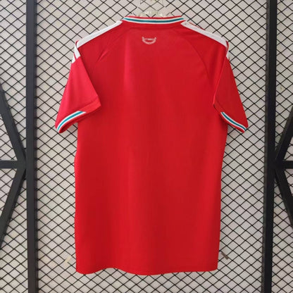 Pays de Galles Maillot Domicile 25/26 – vue 2