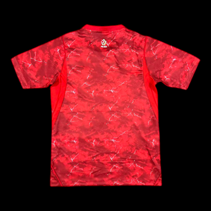 Pologne Maillot Extérieur 26/27 – vue 2