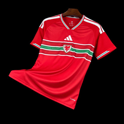 Pays Galles Maillot Domicile 26/27