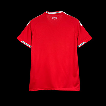 Pays Galles Maillot Domicile 26/27 – vue 2