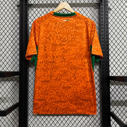 Côte d'Ivoire Maillot Spécial 25/26 – vue 2