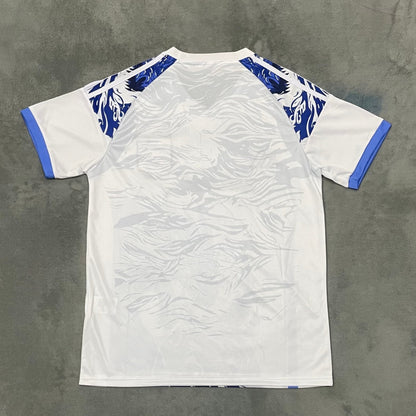 Japon Maillot Spécial Blue Dragon Q 25/26 – vue 2