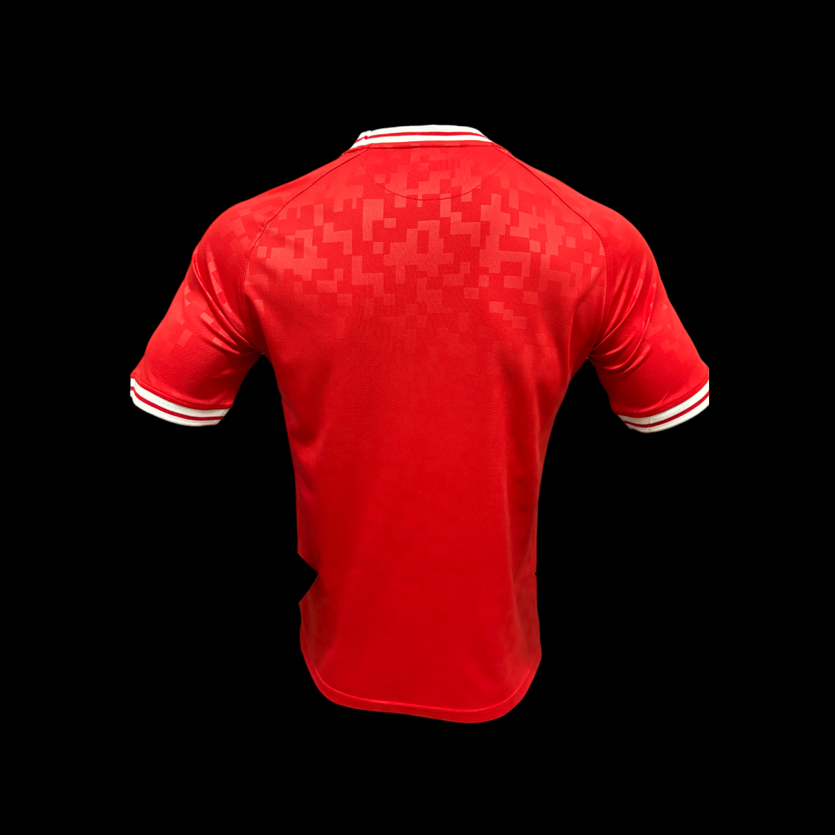Danemark Maillot Domicile 24/25 – Version Player – vue 2