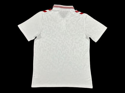 Danemark Maillot Extérieur 24/25 – vue 2