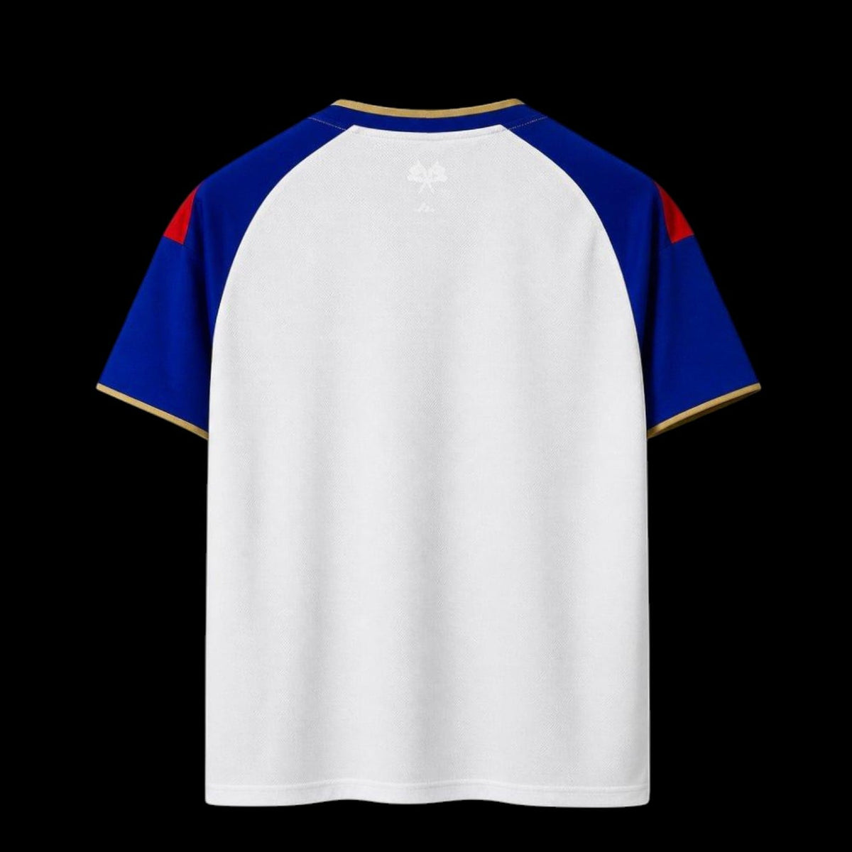 Lyon Maillot Domicile 26/27 – vue 2