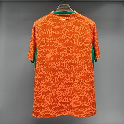 Côte d'Ivoire Maillot Spécial 25/26 – vue 4