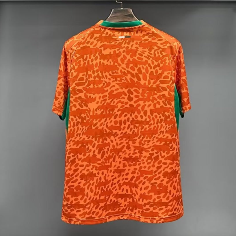 Côte d'Ivoire Maillot Spécial 25/26 – vue 4