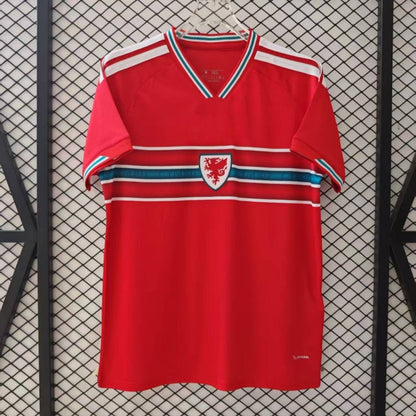 Pays de Galles Maillot Domicile 25/26