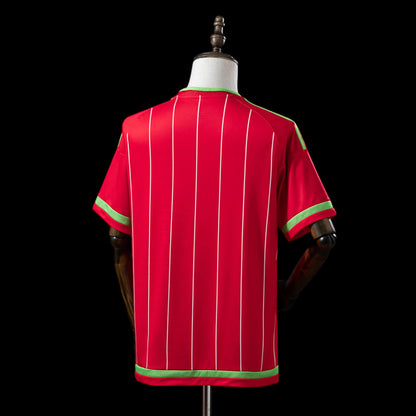 Pays de Galles Maillot Rétro 15/16 – vue 2